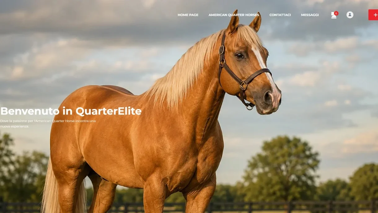 Immagine di copertina del sito web quarterelite.it per la compravendita di cavalli