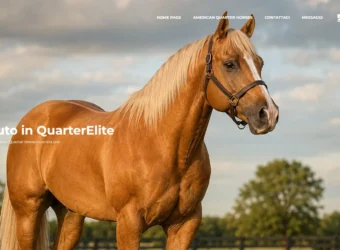 Immagine di copertina del sito web quarterelite.it per la compravendita di cavalli