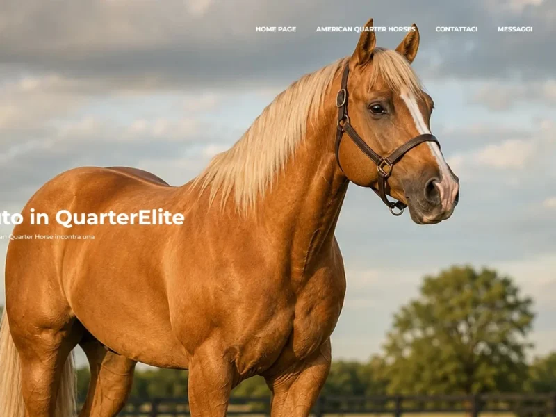 Immagine di copertina del sito web quarterelite.it per la compravendita di cavalli